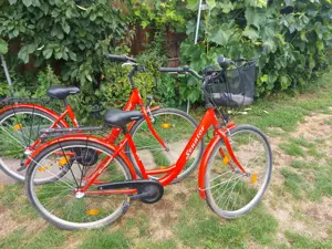 Damen Fahrrad 28" in guter Zustand 
