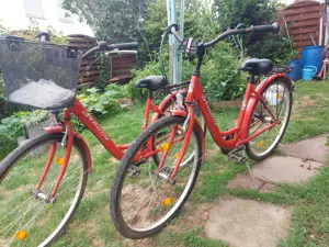 Damen Fahrrad 28" in guter Zustand  Bild 2