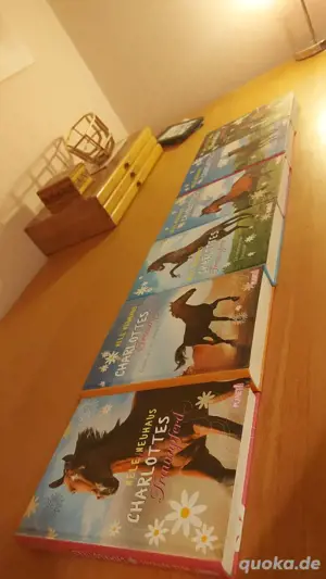 #Abendteuer Pferdebücher, 6 Bände, Charlottes Traumpferd Bild 1