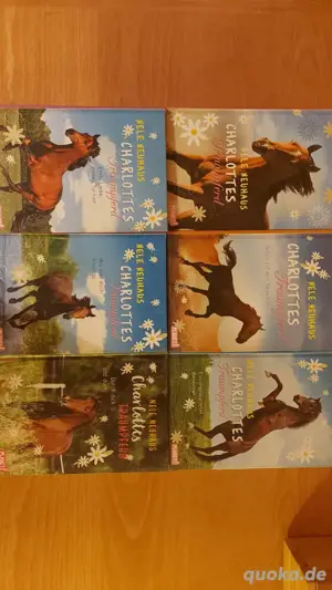 #Abendteuer Pferdebücher, 6 Bände, Charlottes Traumpferd Bild 2