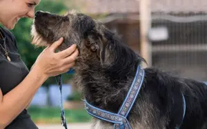 Wo Mika ist, ist das Herz zuhause. Bild 8