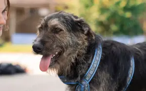 Wo Mika ist, ist das Herz zuhause. Bild 7