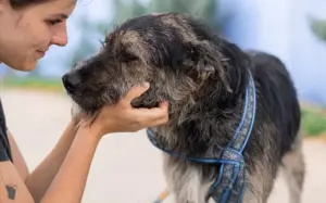 Wo Mika ist, ist das Herz zuhause. Bild 5