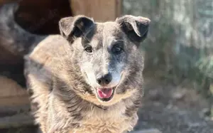 Für Karlchen muss das Glück einen zweiten Anlauf nehmen! Bild 6