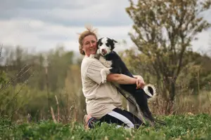 Süßer Chico sucht liebevolles Zuhause Bild 2