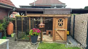 voliere zu verkaufen