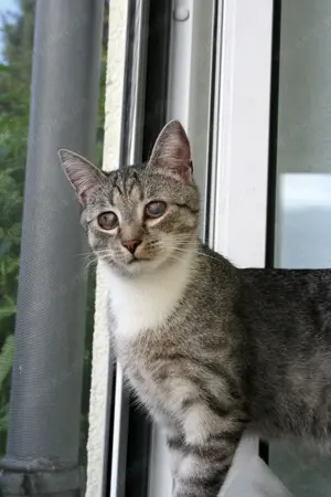 Moody & Fury Piratenkinder suchen Heimathafen