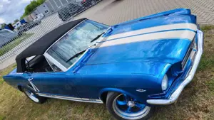 Ford Mustang Mustang Cabrio V8 289cui