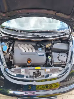 Volkswagen New Beetle New Beetle 2.0