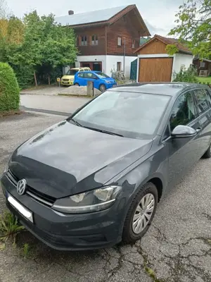 Volkswagen Golf Golf VII 5-Türer 1.0 TSI Trendline