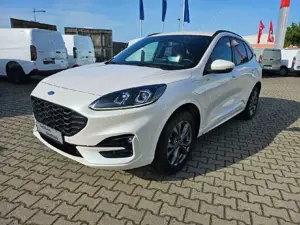 Ford Kuga Plug-In Hybrid ST-Line X Bild 1