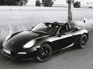 Porsche Boxster 6 Zylinder Sauger 19" SAGA VOLLLEDER 981