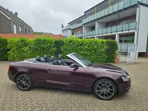 Audi A5 A5 Cabrio Diesel Cabrio 2.0 TDI DPF Bild 2