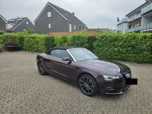 Audi A5 A5 Cabrio Diesel Cabrio 2.0 TDI DPF Bild 5