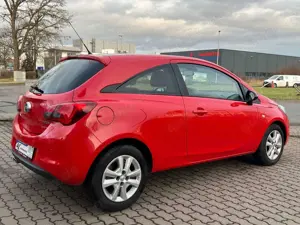 Opel Corsa E Color Edition ecoFlex Bild 5