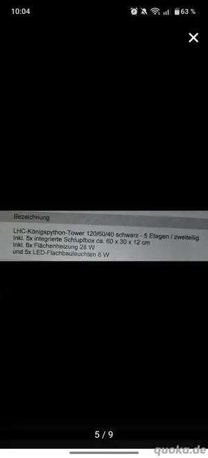 Königspython Gruppe mit Lanzo Herp LHC Tower  Bild 2