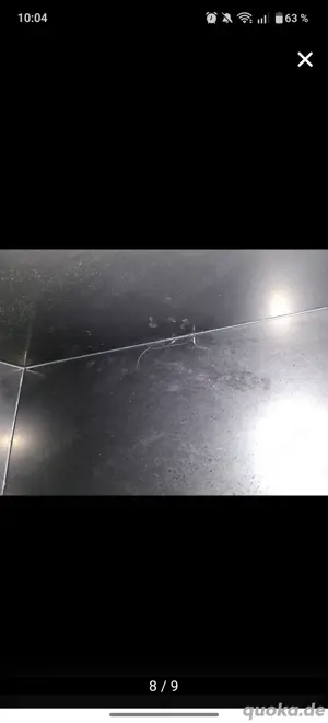 Königspython Gruppe mit Lanzo Herp LHC Tower  Bild 5