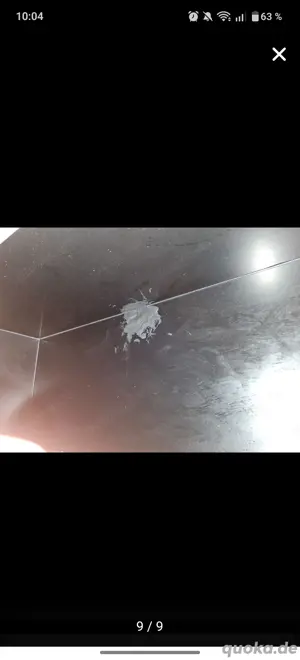 Königspython Gruppe mit Lanzo Herp LHC Tower  Bild 6