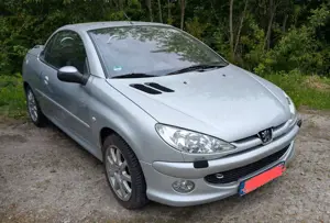 Peugeot 206 CC 110 Platinum