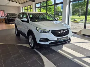 Opel Grandland X Edition Leder / Android Auto / AHK /SHZ Bild 4