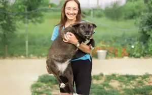 ruhige Vesta sucht liebevolles Zuhause