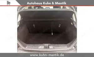 Ford Fiesta Cool  Connect 1.0  PDC SHZ LANEASSIT GRA Bild 4