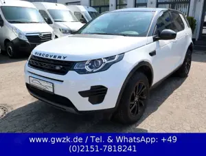 Land Rover Discovery Sport AWD / Pano / 2-Zonen-Klima / SHZ
