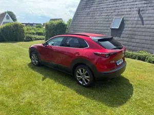 Mazda CX-30 CX-30 SKYACTIV-G 2.0 M-Hybrid 150 AWD Bild 5