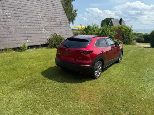 Mazda CX-30 CX-30 SKYACTIV-G 2.0 M-Hybrid 150 AWD Bild 4