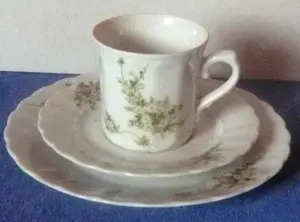 Sammelgedeck Porzellan Eschenbach Bavaria unbeschädigt sehr gut