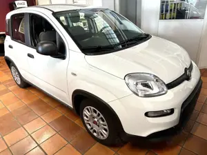 Fiat Panda Base 1.0 GSE Hybrid