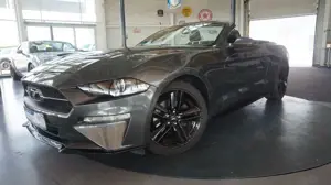Ford Mustang 2.3 EcoBoost Cabrio*Xenon*Leder*UNFALL*