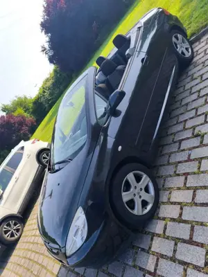 Peugeot 307 CC 110 Filou