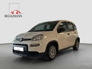 Fiat Panda 1,0 Hybrid Klima/DAB