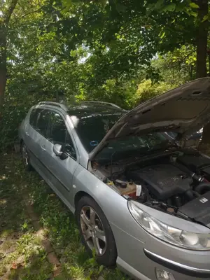 Peugeot 407 407 SW HDi 135 Bild 4
