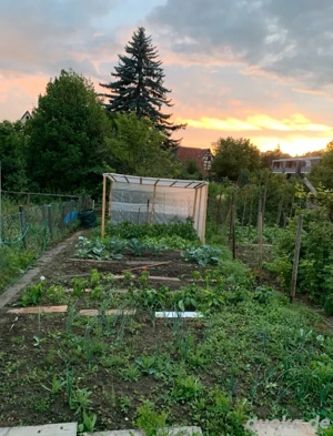 Gemüsegarten mit Wasseranschluss zu Vermieten