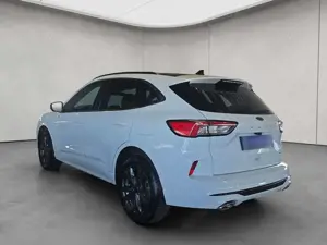 Ford Kuga 2.5 Duratec PHEV ST-LINE Bild 3