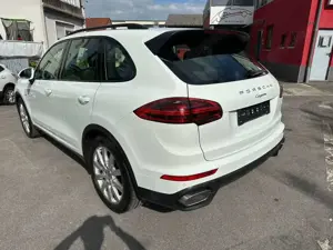 Porsche Cayenne Diesel/ Navi/ Xenon/ ACC/ Pano Bild 4