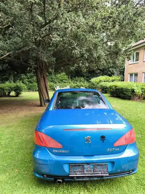 Peugeot 307 JBL Bild 3