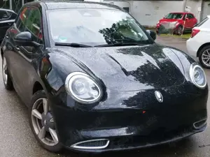 Ora Funky Cat Funky Cat 300