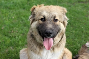 Knuffige Arika sucht ihre eigene Familie