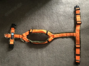 Zwei Anny-X Hundegeschirre 