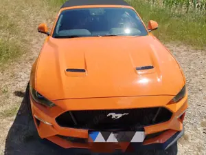 Ford Mustang Mustang Convertible 5.0 Ti-VCT V8 Aut. GT