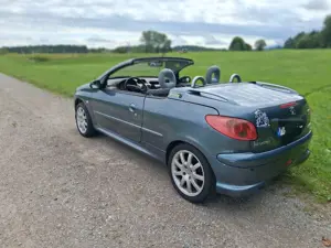 Peugeot 206 206 CC 110 Roxy Bild 5