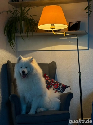 Designer Stehlampe   Handveredelt, Exklusives Schwarz-Gold Unikat