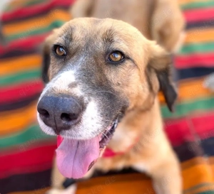 GABY sucht Familienanschluß