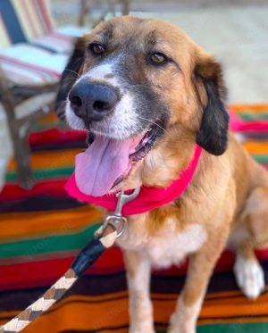 GABY sucht Familienanschluß Bild 4