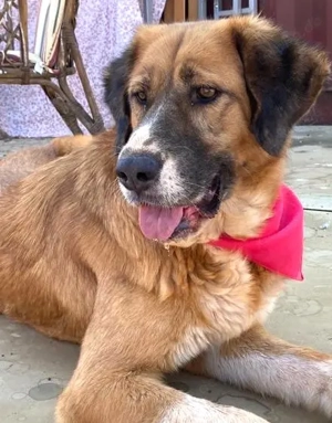 GABY sucht Familienanschluß Bild 3