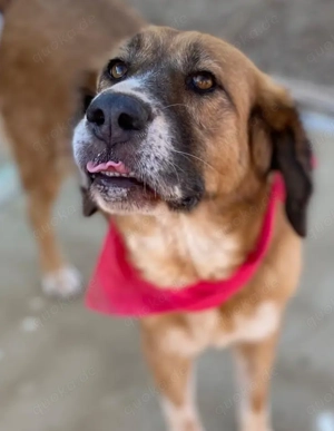 GABY sucht Familienanschluß Bild 2