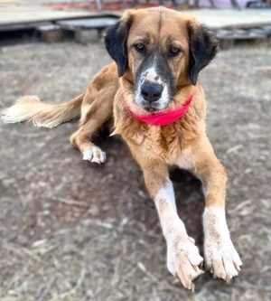 GABY sucht Familienanschluß Bild 5